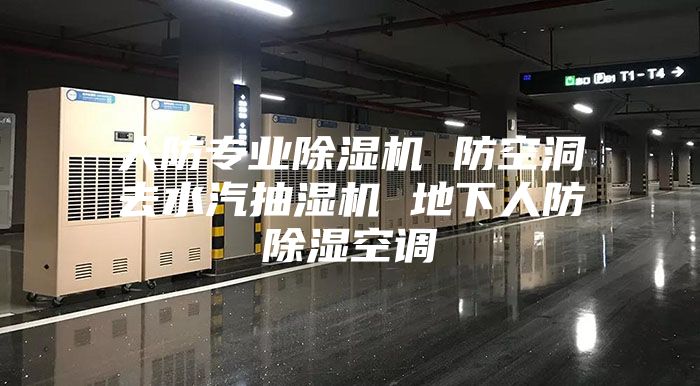 人防专业除湿机 防空洞去水汽抽湿机 地下人防除湿空调