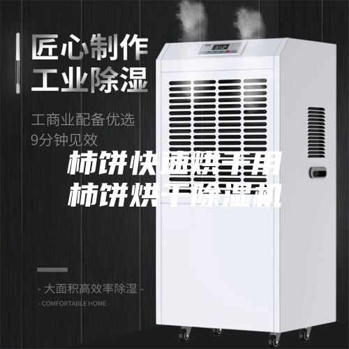 柿饼快速烘干用柿饼烘干除湿机