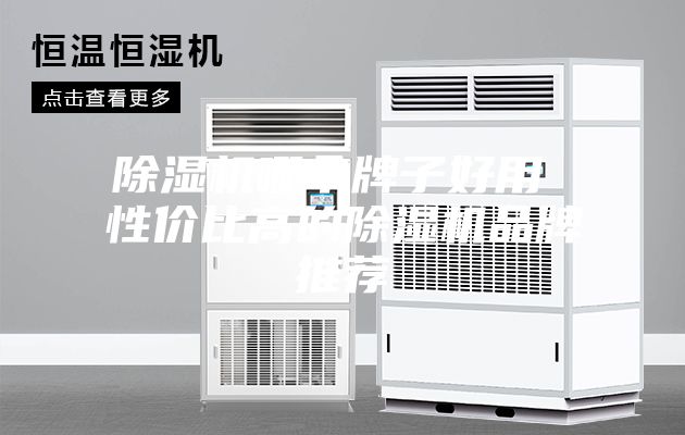 除湿机哪个牌子好用 性价比高的除湿机品牌推荐