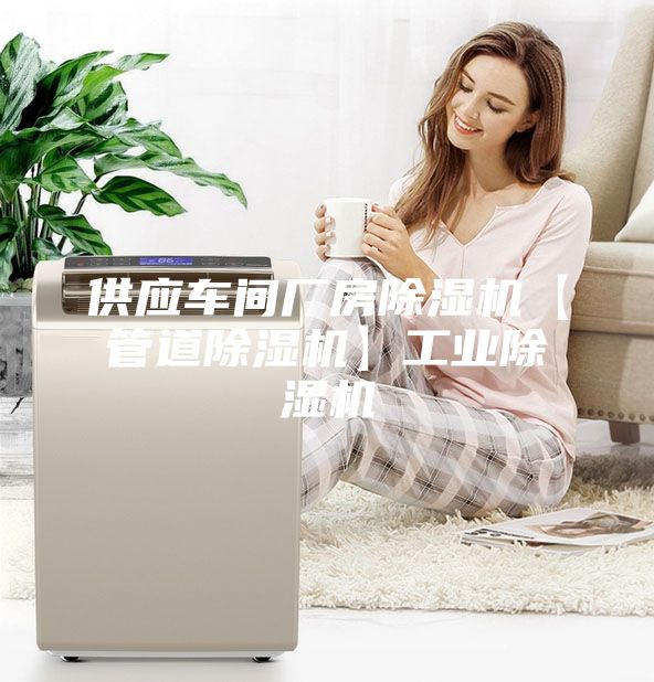 供应车间厂房除湿机【管道除湿机】工业除湿机