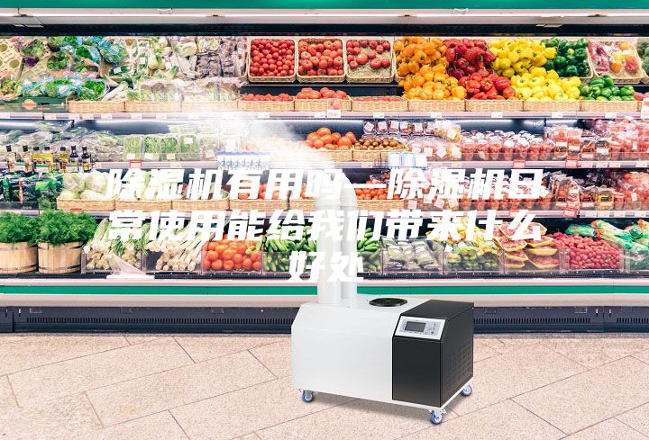 除湿机有用吗—除湿机日常使用能给我们带来什么好处
