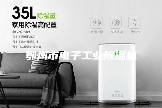 鄂州市电子工业除湿机