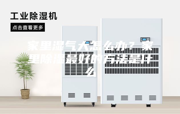 家里湿气大怎么办？家里除湿最好的方法是什么