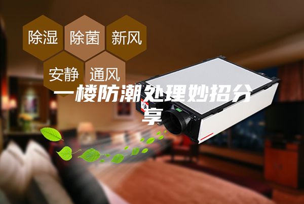 一楼防潮处理妙招分享