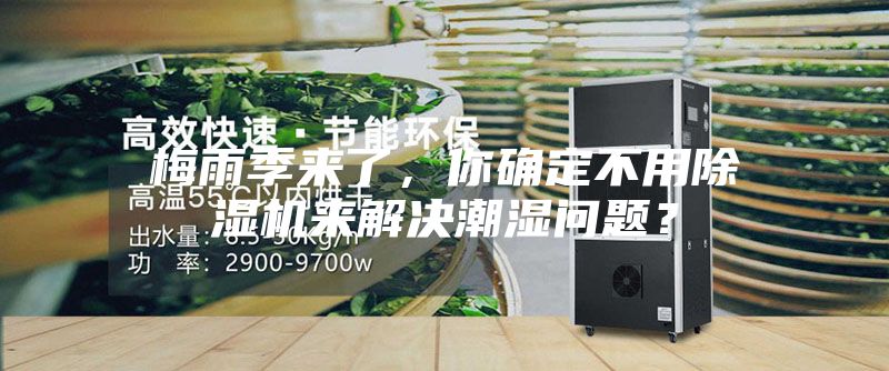 梅雨季来了，你确定不用除湿机来解决潮湿问题？