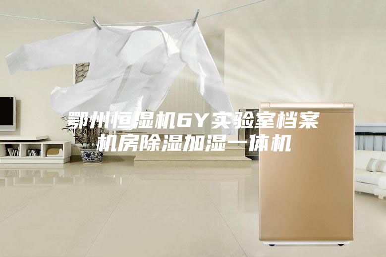 鄂州恒湿机6Y实验室档案机房除湿加湿一体机
