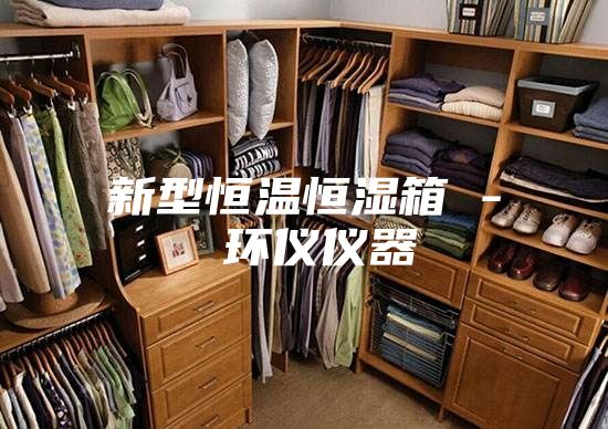 新型恒温恒湿箱 - 环仪仪器