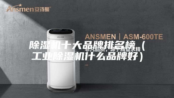 除湿机十大品牌排名榜（工业除湿机什么品牌好）