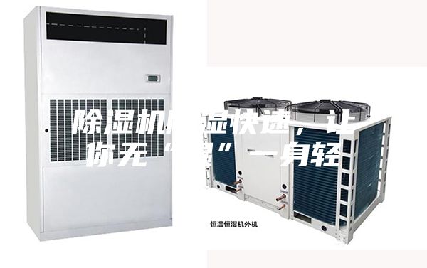 除湿机除湿快速，让你无“湿”一身轻