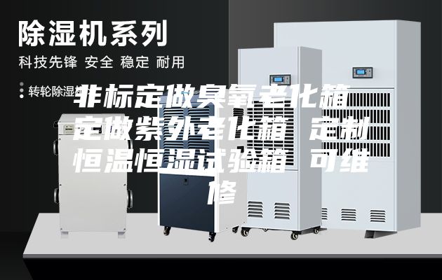 非标定做臭氧老化箱 定做紫外老化箱 定制恒温恒湿试验箱 可维修