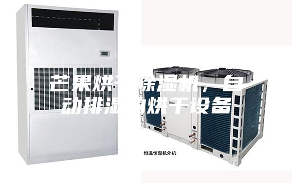 芒果烘干除湿机，自动排湿的烘干设备