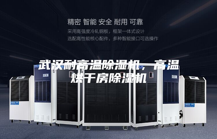 武汉耐高温除湿机，高温烘干房除湿机