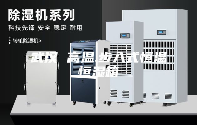 武汉 高温.步入式恒温恒湿箱