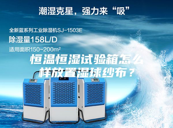 恒温恒湿试验箱怎么样放置湿球纱布？