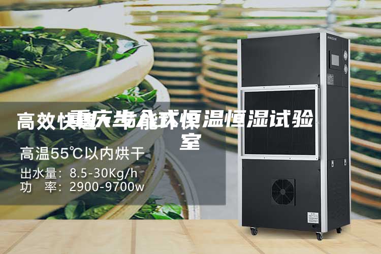 重庆步入式恒温恒湿试验室