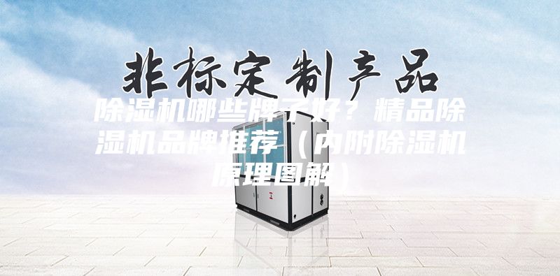 除湿机哪些牌子好？精品除湿机品牌推荐（内附除湿机原理图解）