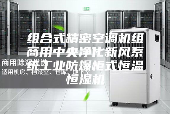 组合式精密空调机组商用中央净化新风系统工业防爆柜式恒温恒湿机