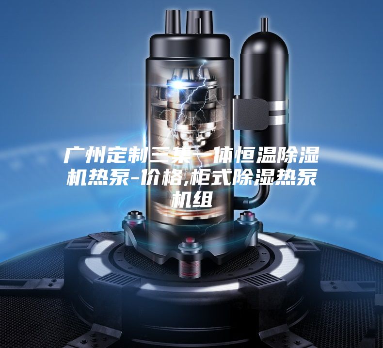 广州定制三集一体恒温除湿机热泵-价格,柜式除湿热泵机组