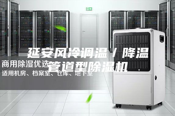 延安风冷调温／降温管道型除湿机