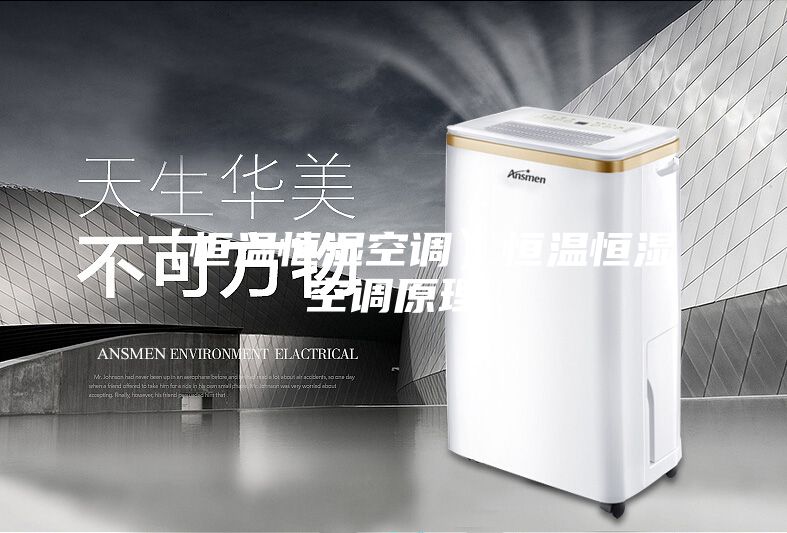 【恒温恒湿空调】恒温恒湿空调原理