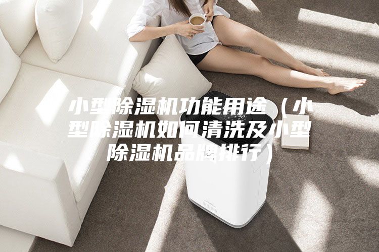 小型除湿机功能用途（小型除湿机如何清洗及小型除湿机品牌排行）