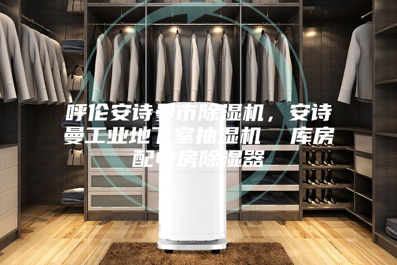 呼伦安诗曼市除湿机，安诗曼工业地下室抽湿机  库房配电房除湿器
