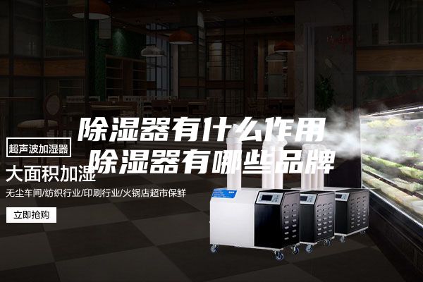 除湿器有什么作用 除湿器有哪些品牌