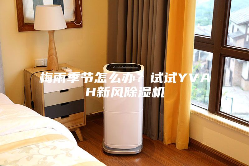 梅雨季节怎么办？试试YVAH新风除湿机