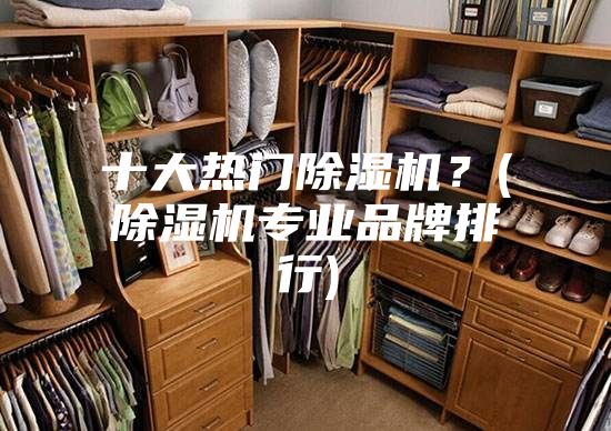 十大热门除湿机？(除湿机专业品牌排行)