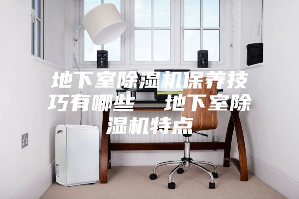 地下室除湿机保养技巧有哪些  地下室除湿机特点