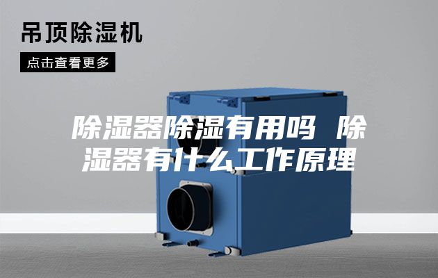 除湿器除湿有用吗 除湿器有什么工作原理