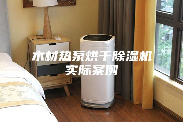 木材热泵烘干除湿机实际案例