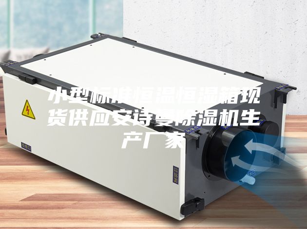 小型标准恒温恒湿箱现货供应安诗曼除湿机生产厂家