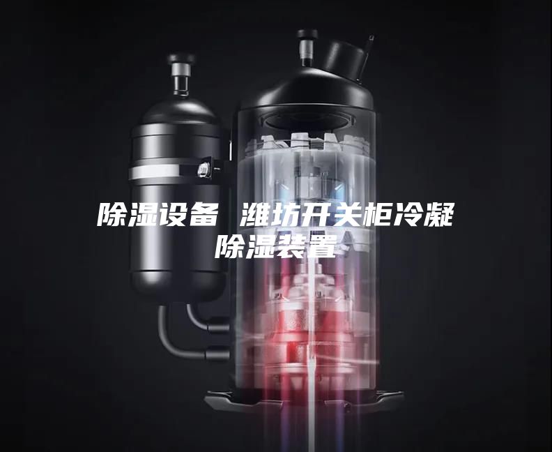 除湿设备 潍坊开关柜冷凝除湿装置