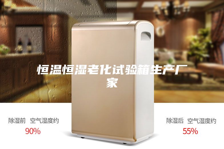 恒温恒湿老化试验箱生产厂家