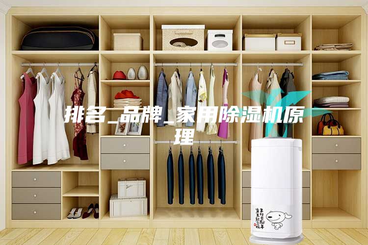 排名_品牌_家用除湿机原理