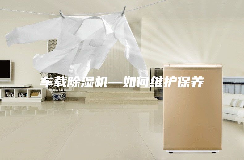 车载除湿机—如何维护保养
