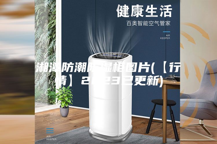 湘潭防潮防湿柜图片(【行情】2023已更新)