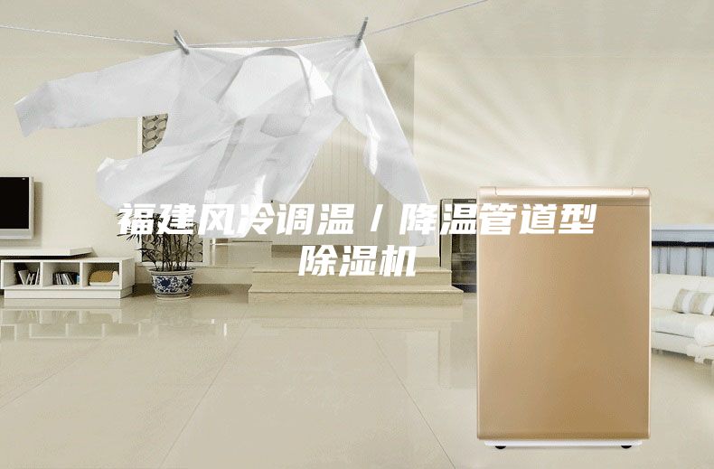 福建风冷调温／降温管道型除湿机