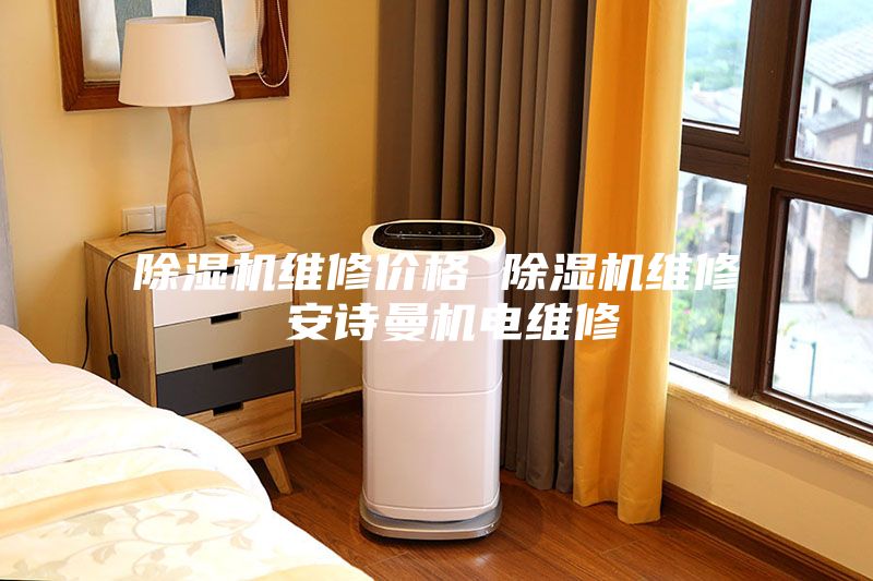 除湿机维修价格 除湿机维修 安诗曼机电维修