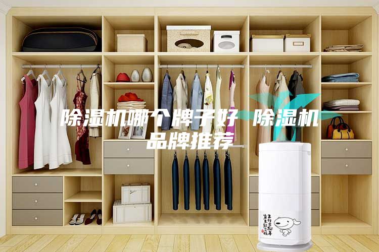 除湿机哪个牌子好 除湿机品牌推荐