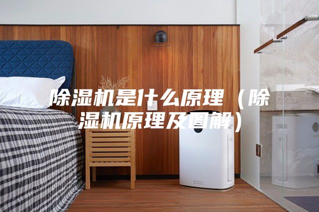 除湿机是什么原理（除湿机原理及图解）