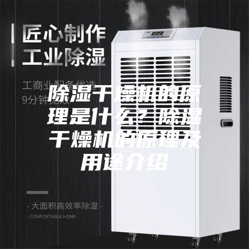 除湿干燥机的原理是什么？除湿干燥机的原理及用途介绍