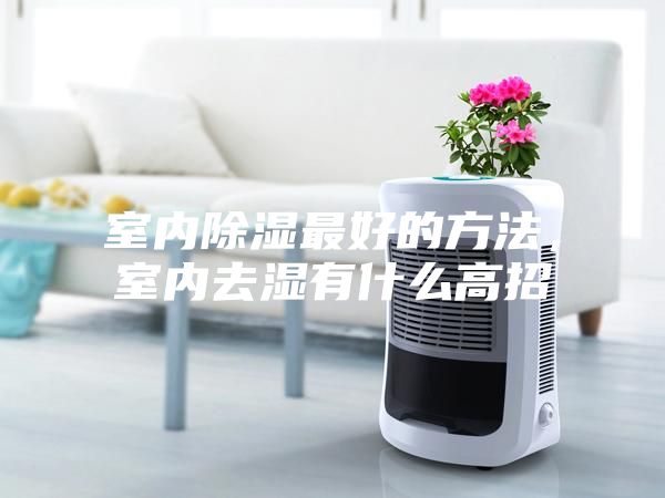 室内除湿最好的方法，室内去湿有什么高招