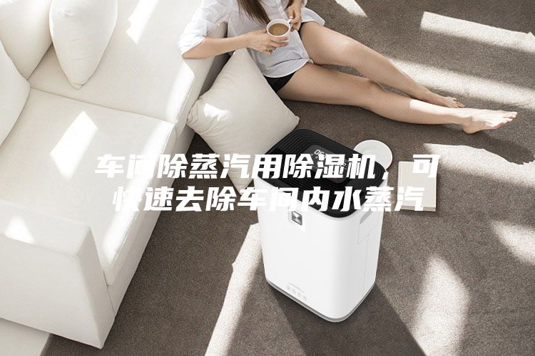 车间除蒸汽用除湿机，可快速去除车间内水蒸汽