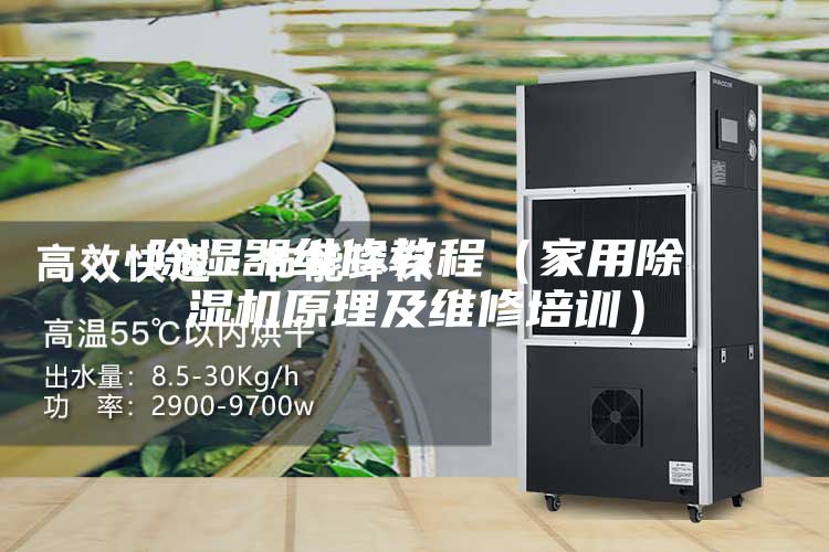 除湿器维修教程（家用除湿机原理及维修培训）