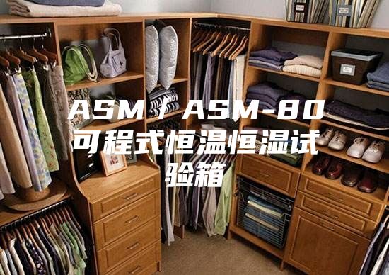 ASM／ASM-80可程式恒温恒湿试验箱