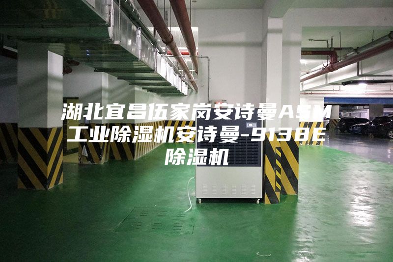 湖北宜昌伍家岗安诗曼ASM工业除湿机安诗曼-9138E除湿机