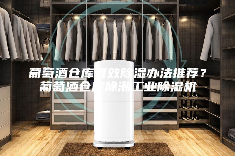 葡萄酒仓库有效除湿办法推荐？葡萄酒仓库除潮工业除湿机