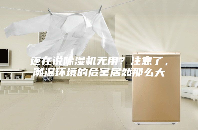 还在说除湿机无用？注意了，潮湿环境的危害居然那么大